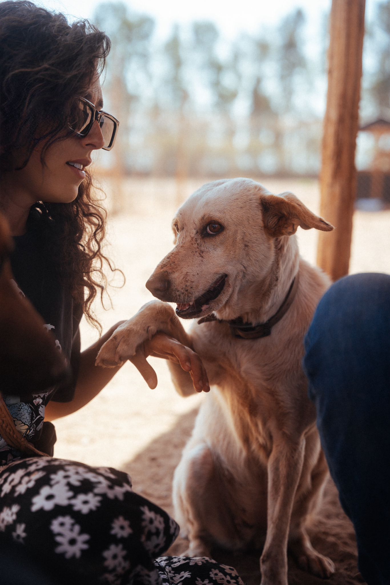 Julia auprès d’un chien recueilli