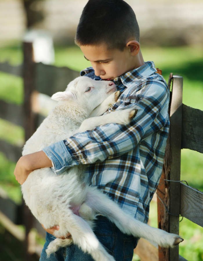 boy-with-lamb-on-the-farm-PD934BP.jpg boy-with-lamb-on-the-farm-PD934BP.jpg