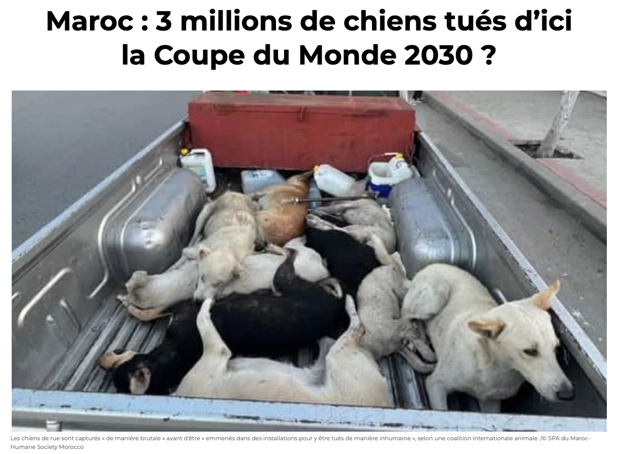 Article 30 Millions d'Amis