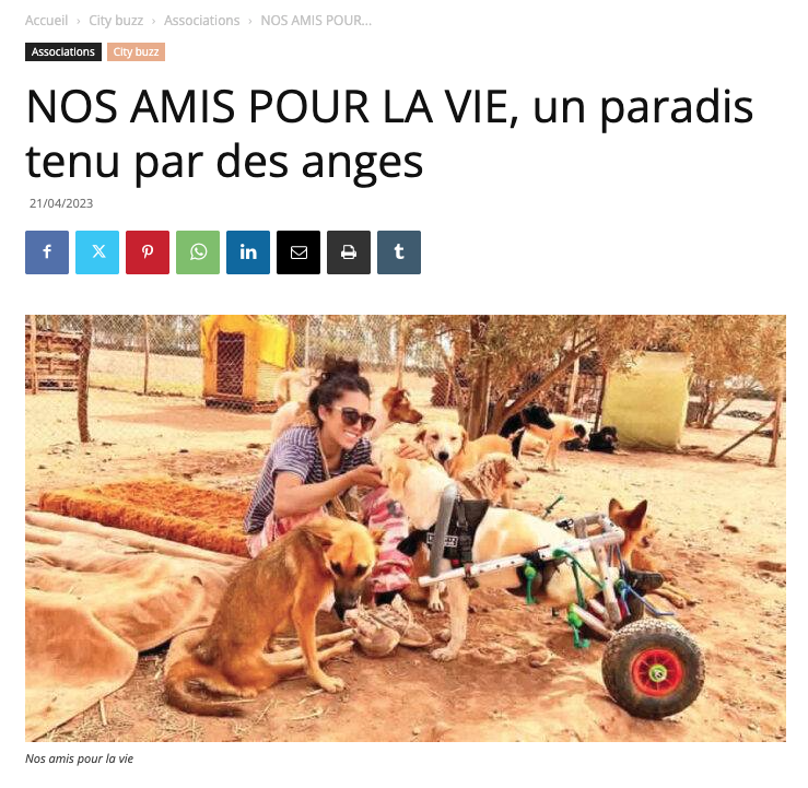 Article complémentaire